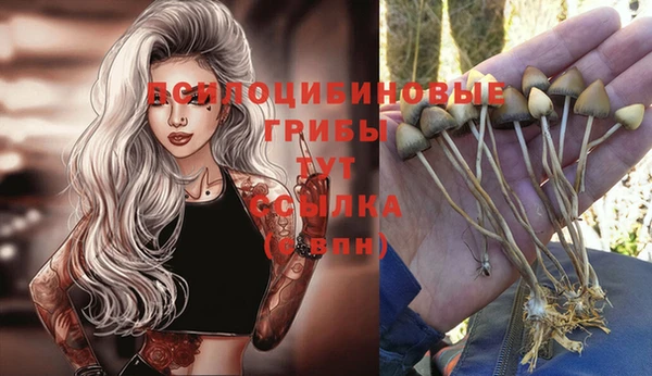 mdpv Медногорск