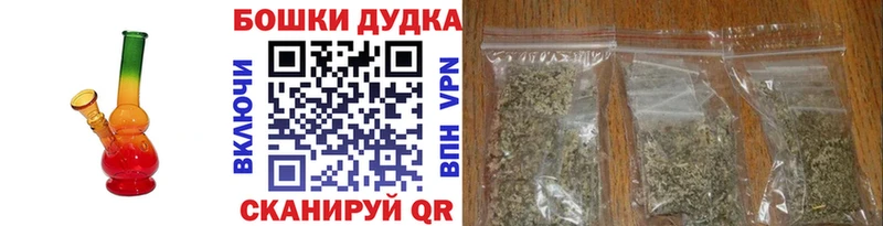 Купить где  Грозный  Каннабис сатива 